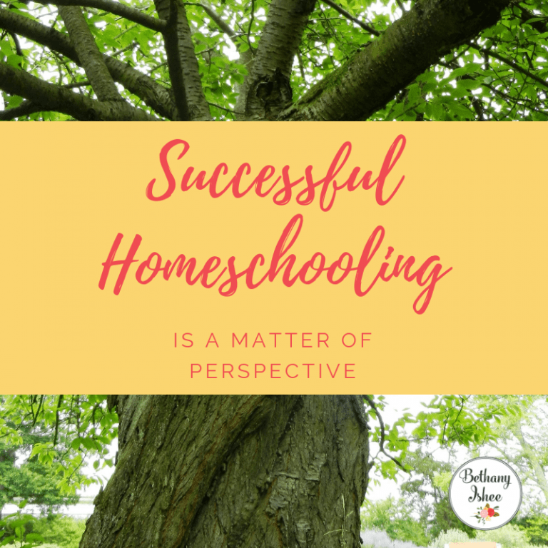 Successful Homeschooling is a Matter of Perspective