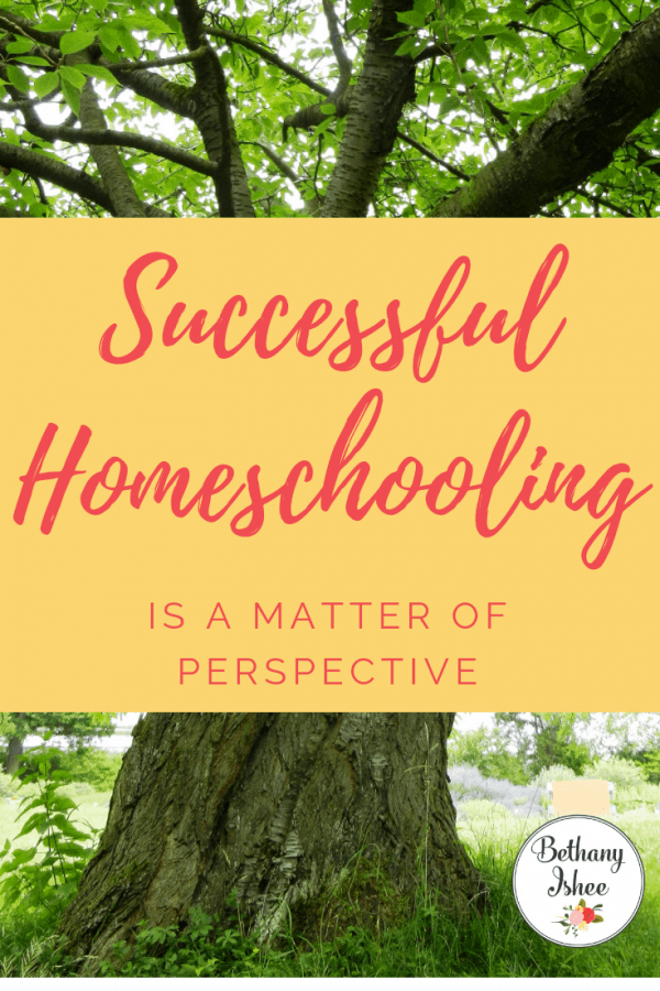 Successful Homeschooling is a Matter of Perspective